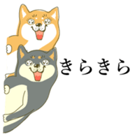 the Japanese dog KOUME 2 sticker #6850604