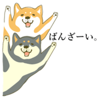 the Japanese dog KOUME 2 sticker #6850605