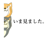 the Japanese dog KOUME 2 sticker #6850606