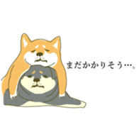 the Japanese dog KOUME 2 sticker #6850613