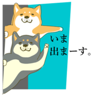 the Japanese dog KOUME 2 sticker #6850619