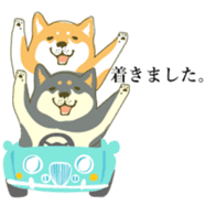 the Japanese dog KOUME 2 sticker #6850623