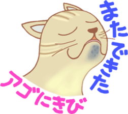 Cat true story 1 (Japanese) sticker #6851243
