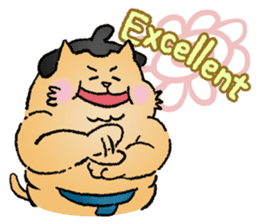 Sumo Cat - thank you sticker #6851745