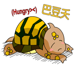 The cute tortoise 2 sticker #6853030