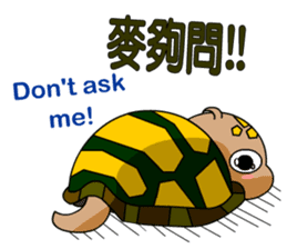 The cute tortoise 2 sticker #6853034