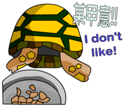 The cute tortoise 2 sticker #6853036
