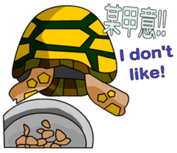 The cute tortoise 2 sticker #6853036