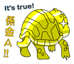 The cute tortoise 2 sticker #6853039