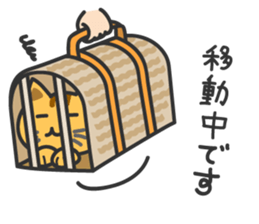 hetare cat sticker #6854053