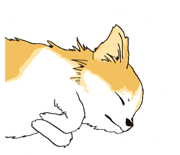 Pretty pet sticker #6854408