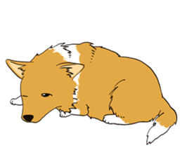 Pretty pet sticker #6854410