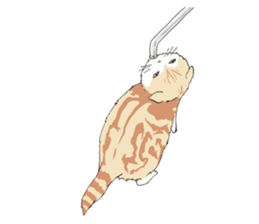 Pretty pet sticker #6854422