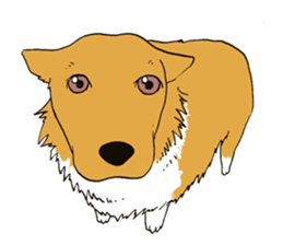 Pretty pet sticker #6854431