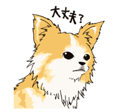 Pretty pet sticker #6854435