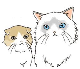 Pretty pet sticker #6854438