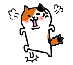 kawaii! Cute cat's sticker English ver. sticker #6856103