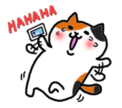 kawaii! Cute cat's sticker English ver. sticker #6856104