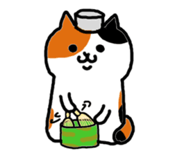 kawaii! Cute cat's sticker English ver. sticker #6856109