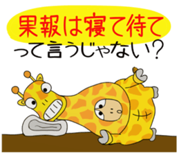 Kame-jiro 13 sticker #6856502