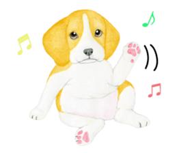 Beagle Sticker (English) sticker #6856920