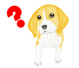 Beagle Sticker (English) sticker #6856925