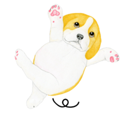 Beagle Sticker (English) sticker #6856926