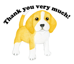 Beagle Sticker (English) sticker #6856928