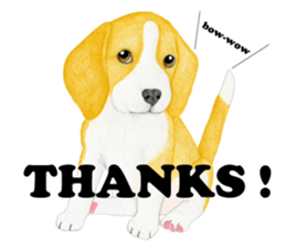 Beagle Sticker (English) sticker #6856929