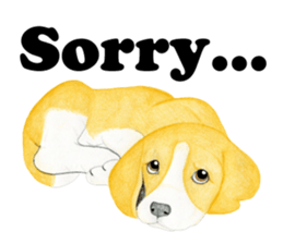 Beagle Sticker (English) sticker #6856930