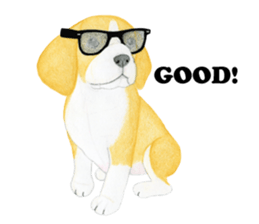 Beagle Sticker (English) sticker #6856934