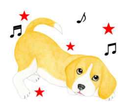 Beagle Sticker (English) sticker #6856935
