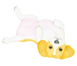 Beagle Sticker (English) sticker #6856939