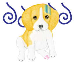 Beagle Sticker (English) sticker #6856941