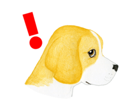 Beagle Sticker (English) sticker #6856944