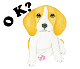 Beagle Sticker (English) sticker #6856945