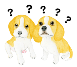 Beagle Sticker (English) sticker #6856946