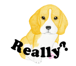 Beagle Sticker (English) sticker #6856947