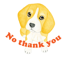 Beagle Sticker (English) sticker #6856949