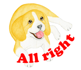 Beagle Sticker (English) sticker #6856950