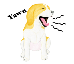 Beagle Sticker (English) sticker #6856954
