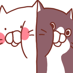 Twin cats nyansuke&kojiro 2