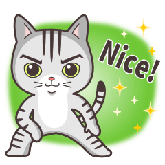 Joker! American short hair Mofu 2