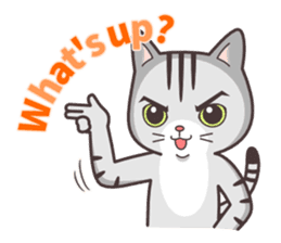 Joker! American short hair Mofu 2 sticker #6858601