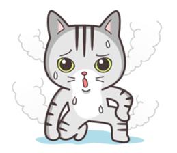 Joker! American short hair Mofu 2 sticker #6858638