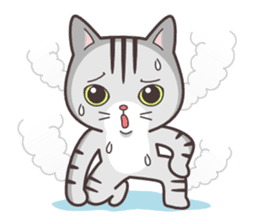 Joker! American short hair Mofu 2 sticker #6858638