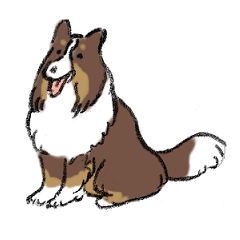 Sheltie By Natsumi