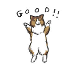 Sheltie sticker #6860905