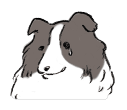 Sheltie sticker #6860909