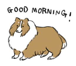 Sheltie sticker #6860910